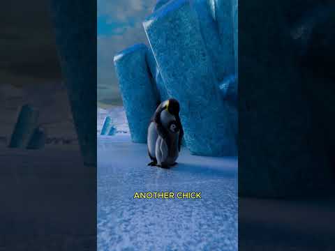 This Mother Penguin Refused To Let Go 🐧