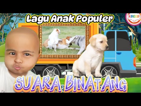 Binatang Naik Truk - Lagu Anak Suara Binatang Dan di Botak Viral #Kbeeb #suarabinatang