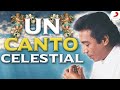 Un Canto Celestial, Diomedes Díaz - Letra Oficial Un Canto Celestial, Diomedes Díaz - Letra Oficial