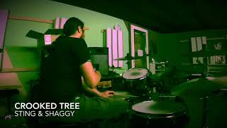 Sting & Shaggy/Crooked Tree/Drum Cover by flob234