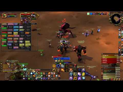 AQ40 Bug Trio (Lord Kri killed last)