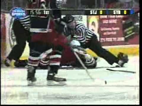 Matthias Trattnig vs. Kris Newbury AHL fight