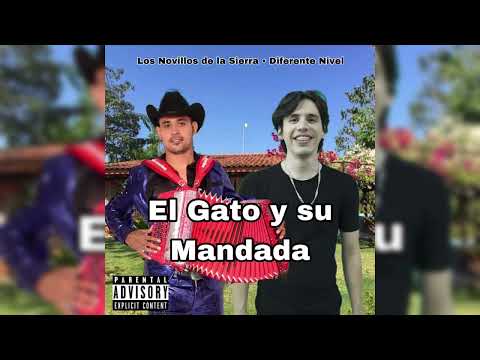 El Gato y su Manada Novillos de la Sierra x Diferente Nivel (corridos 2024)