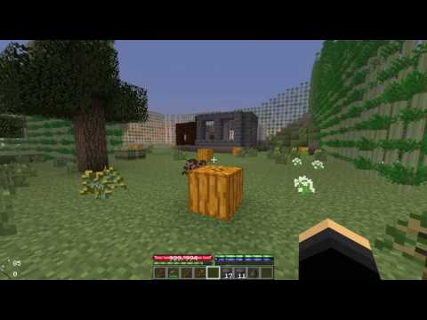 Terrafirmacraft Episode 35