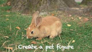 PG EN AI特效 250904 宠物nano banana 视频 16：9