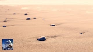 WORLD5 - Who Decides