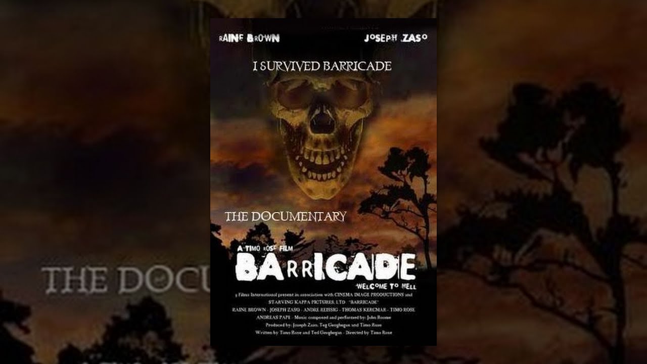 I survived Barricade