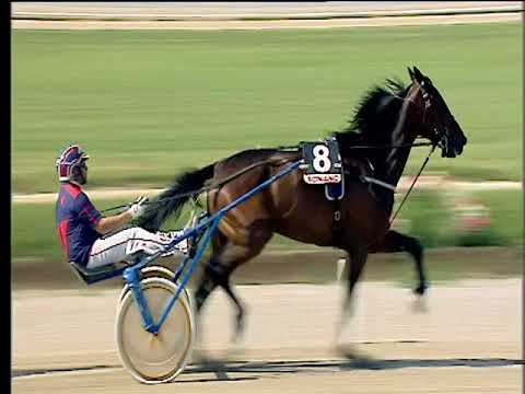 Trotto 25/05/2018 - 2ª corsa