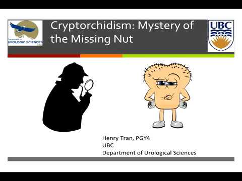 Cryptorchidism: Mystery of the Missing Nut