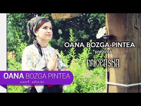 Oana Bozga Pintea - Nu mai sunt cuvinte (PRICEASNA)