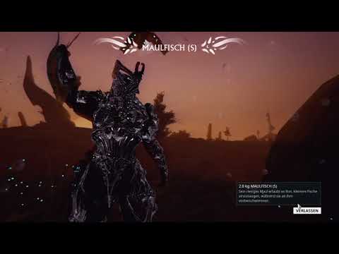Warframe - Charc Aal / Charc Elektoplax - Wo/Wozu/Woher