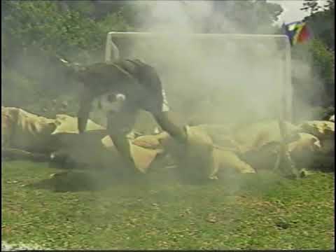 Mariscal Herr Strudel - El Güiri Gol Alemania 2006