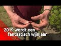 2019 belooft een top wijnjaar te worden