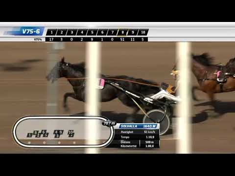 Elitlopp Meeting 2023 Sunday 4yo Elite - Double Deciver