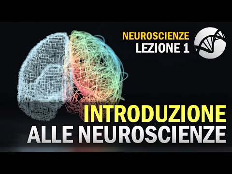 Introduction to Neuroscience | NEUROSCIENCE - Lesson 1
