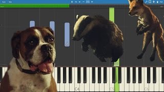 John Lewis Christmas Ad 2016 Buster The Boxer - Piano Tutorial - One Day I'll Fly Away - Vaults