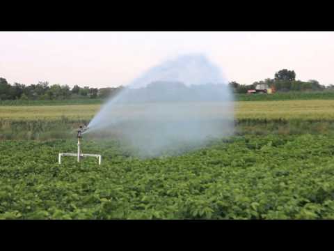 Импульсный дождеватель, радиус 19 - 41 м, подключение 2", расход 7,8 - 35,6 м³/час, фрегат - Sime Senior - фото 1 - id-p1581318481