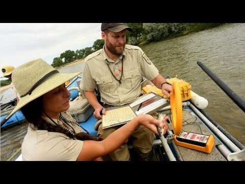 Wildlife Biologist