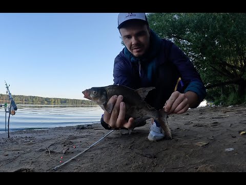 РЫБАЛКА НА ВОЛГЕ. Russian River Fishing - How do I fish?