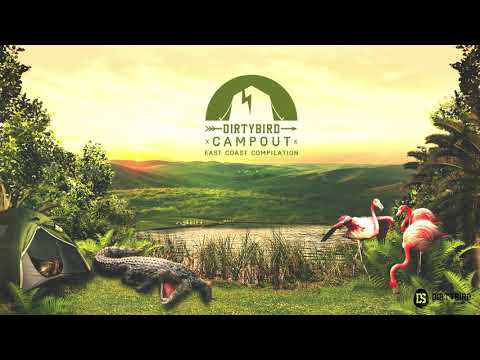 Dimiz & Baley - Raw Motion DIRTYBIRD