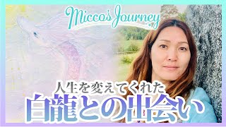 【奇跡体験】人生を変えてくれた白龍との出会い