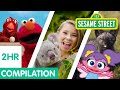 Sesame Street Animals For Kids Compilation 2 Hours