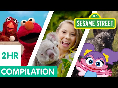 Sesame Street: Animals for Kids Compilation | 2 Hours