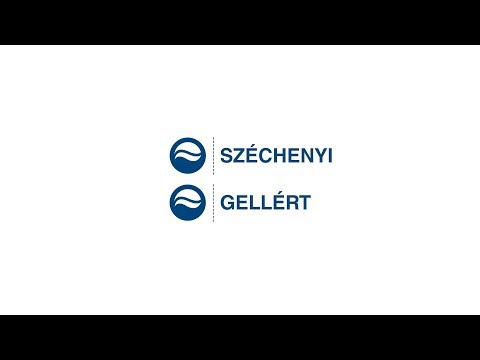 Széchenyi & Gellért Baths (Hungary)