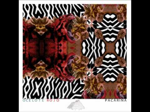 Ocelote Rojo - Pacarina - Untitled #1