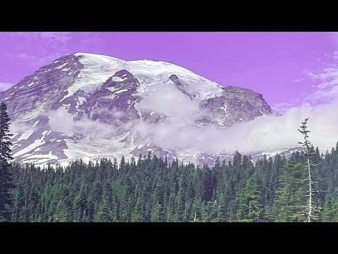 Crack Elviss - LEFT, RIGHT 