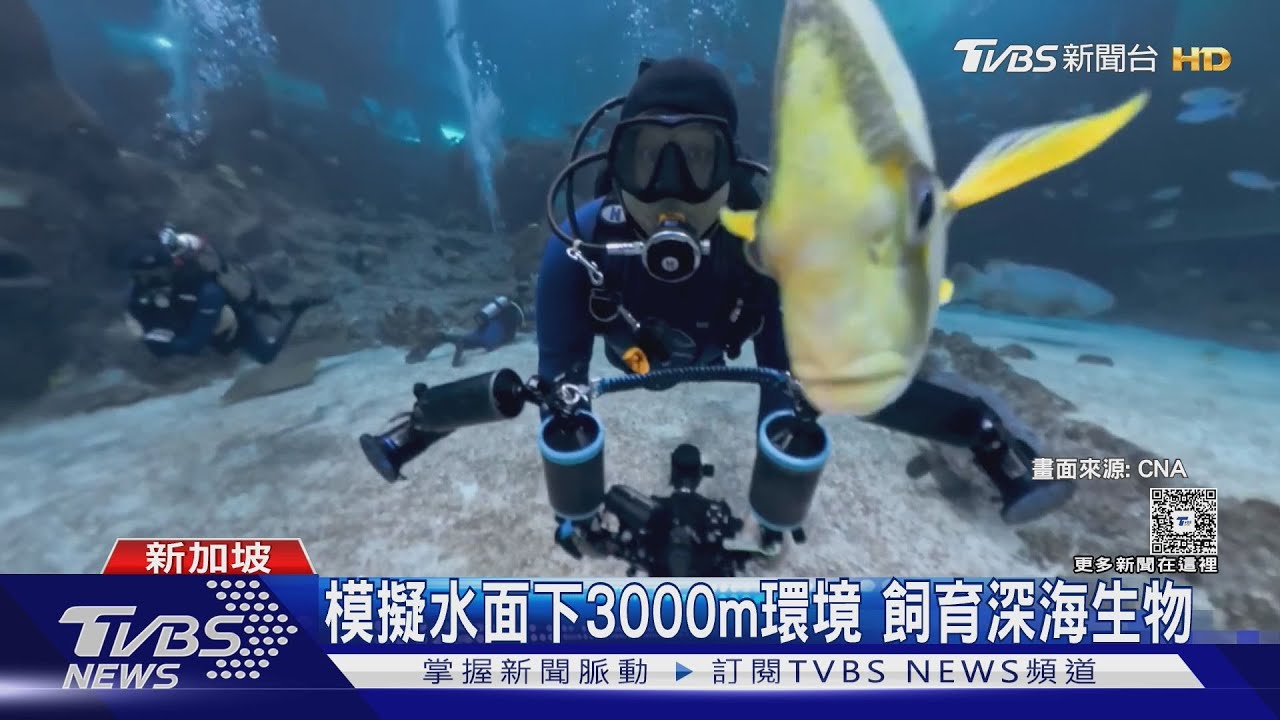 大3倍！新加坡海洋館整修3月開放　36m觀景廊全新亮相