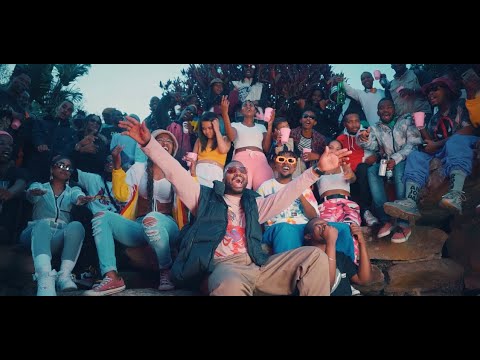 PDogg Amazing   Feel The Vibe ft  Okmalumkoolkat x Blxckie