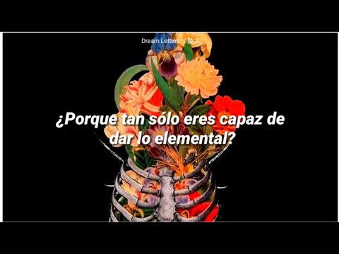 🖤Corazón de Metal - JotDog; Letra 🎸