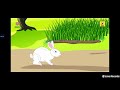 The Rabbit The Turrtle In Tamil Tamil Story