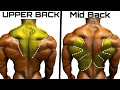 Top 4 Middle Back Upper Back Workout to Build Wide Back Workout - Wide Back