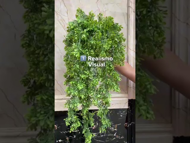 Vídeo relacionado con Planta Artificial Colgantes con Maceta, 2 PCS Plantas Artificiales Decorativas, Plantas Falsas Plástico, Artificiales Macetas Plantas, Plantas Artificiales Exterior para Casa Oficina Mesa Decoración