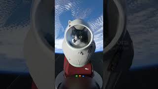 ペットボトルロケット #猫 #cat #生成ai #shorts