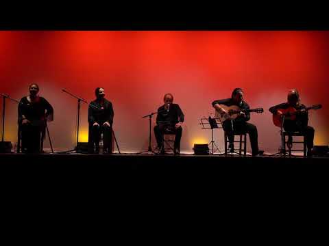Tangos de Grana - "A Compás" - Pepa Molina Flamenco Dance Academy Concert 2019