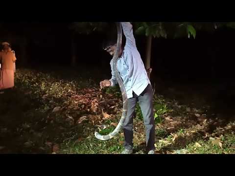 Youtube Video Youtube Video