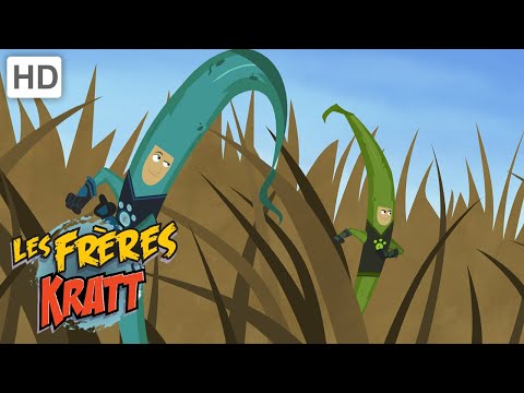 Les Frères Kratt |Le Jeu De La Chaîne Alimentaire| Saison 1