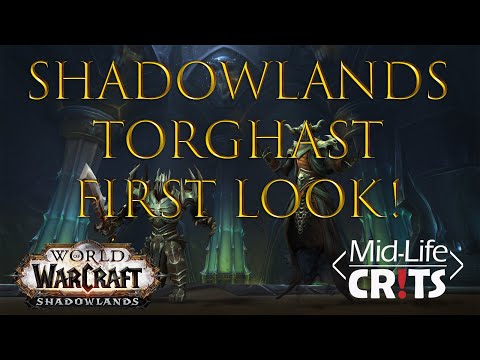 WoW Shadowlands Torghast Tower of the Damned First Look!