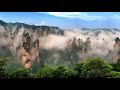 Mike Oldfield Flowers Of The Forest