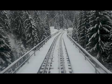 Suceava - Cluj-Napoca