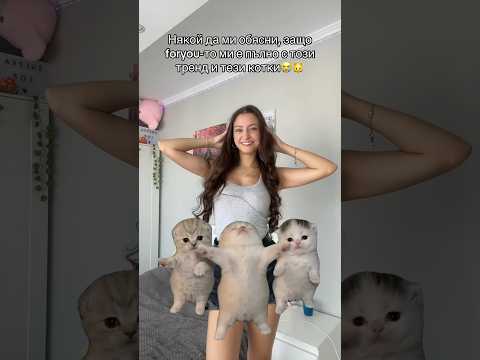 Надявам се, че не съм само аз😭 Но са сладки🥹🐱
