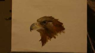 preview picture of video 'I want to show you how to paint an eagle.'