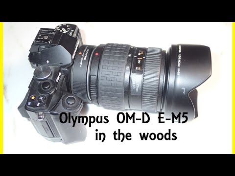 Video thumbnail for Video Review 2