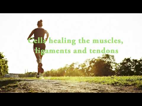 Cells healing the body - Muscles, ligaments and tendons - Guided mediation