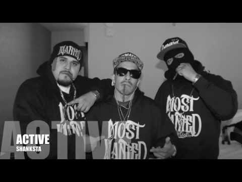 SHANKSTA-ACTIVE