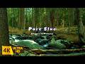 4K Pure Mountain Stream Meditation Sound Various Birds Singing Relax Heal Sleep