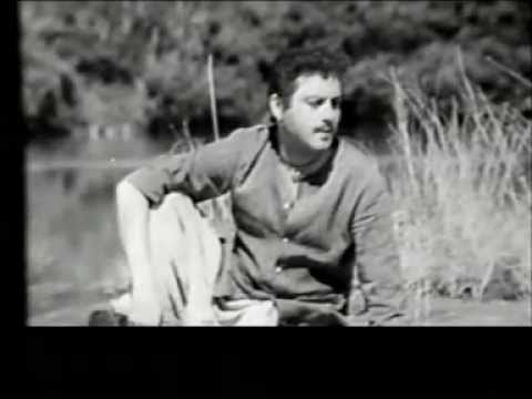 Iss bhari duniya mein koi bhi hamaara na hua